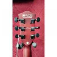 Swift horse Guitar - 5