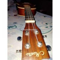Mantra guitar - Image 8/8