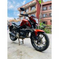 honda hornet in sale