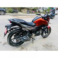 honda hornet in sale