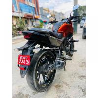 honda hornet in sale