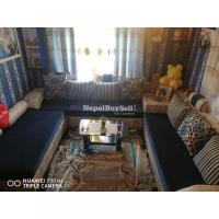 Modern L shape Sofa