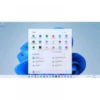 Windows 11 Pro Genuine