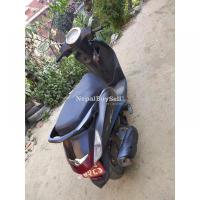 Faacino skuty 87 Lott