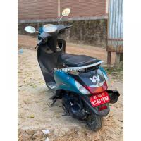 Faacino skuty 74 Lott