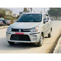 2019 model suzuki alto