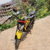 Fz 51lot