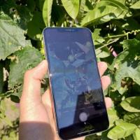 Iphone xs max 64 gb dual sim