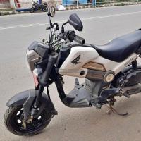 Honda Navi