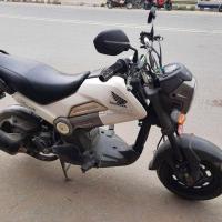Honda Navi