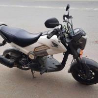 Honda Navi