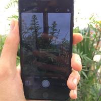 Iphone 7 32gb