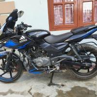 Pulsar 220 on sale