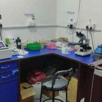 Well running clinic for sale