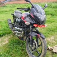 Pulsar 220f/ 131lot