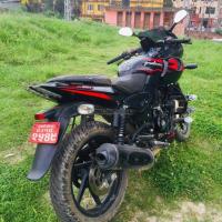 Pulsar 220f/ 131lot