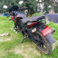 Pulsar 220f/ 131lot