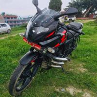 Pulsar 220f/ 131lot