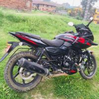 Pulsar 220f/ 131lot