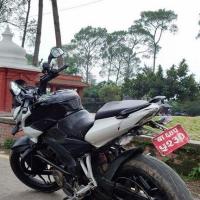 NS200 / 64lot