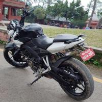 NS200 / 64lot