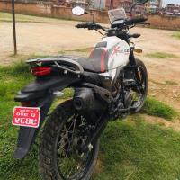 X pulse/ 129lot