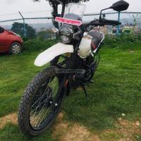 X pulse/ 129lot