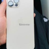 iphone 12 pro max 256 gb