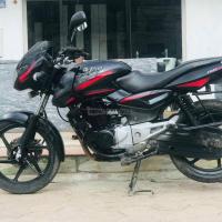 38 Lot plusar 150 on sale