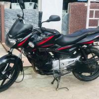 38 Lot plusar 150 on sale