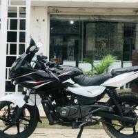 60 Lot plusar 220 on sale