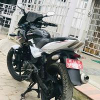 60 Lot plusar 220 on sale