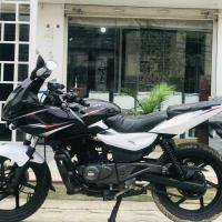 60 Lot plusar 220 on sale