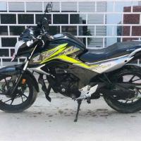 77 Lot hornet on sale