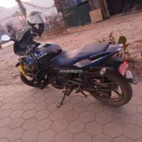 Pulsur220 model 2024
