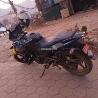 Pulsur220 model 2024