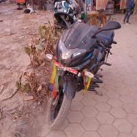 Pulsur220 model 2024