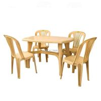 Dolphin smart dining set