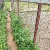 Land for rent